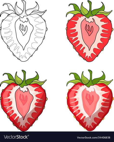 Realistic Colorful Strawberry Half Slice Template Vector Image