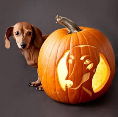 Picture Of A Dachshund: Dachshund Pumpkin Stencil