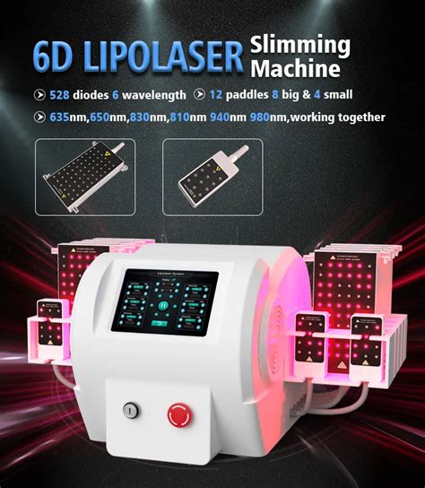 6d Laser Lipo Vivalaser For You For All For Beauty