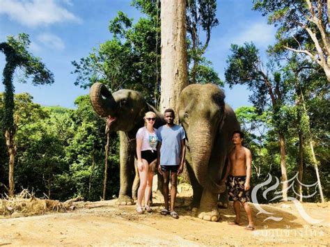 Phupa Elephant Trekking Phuket D1