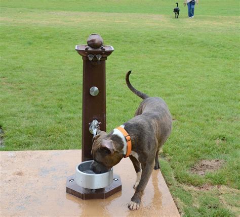 Dog Park Drinking Fountains