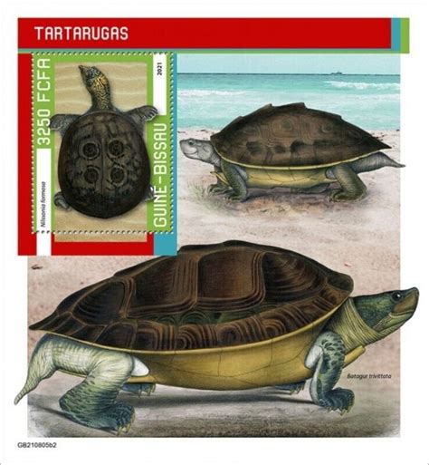 Guinea Bissau 2021 Burmese Peacock Softshell Turtle Souvenir Sheet Africa Guinea Bissau