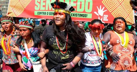 Une Victoire Pour Les Indig Nes Damazonie Face La D Forestation