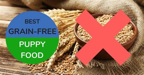 5 Best Grain-Free Puppy Food 2021 - And Why You Want It!