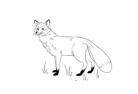 How To Draw A Fox Step By Step Domestika