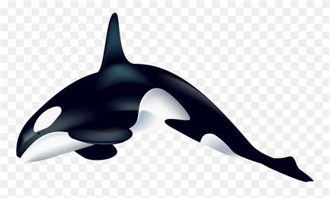 Jenny's Crafty Creations Orca Killer Whale Silhouette - Orca Clipart ...