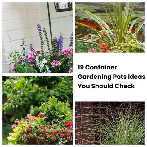 Container Gardening Pots Ideas You Should Check Sharonsable