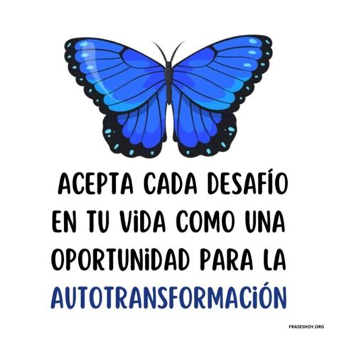 Transformacion Frases Hoy