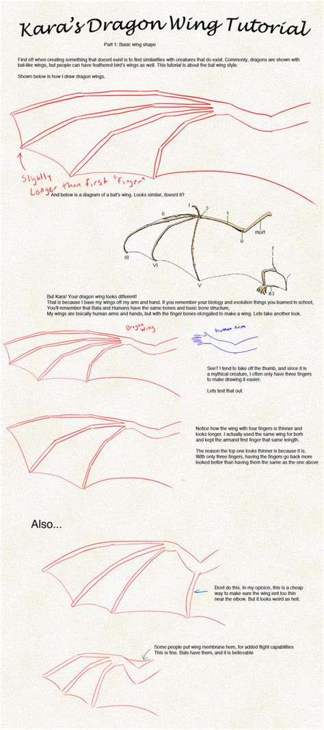 Dragon Wing Tutorial Part 1 By Karatails On Deviantart