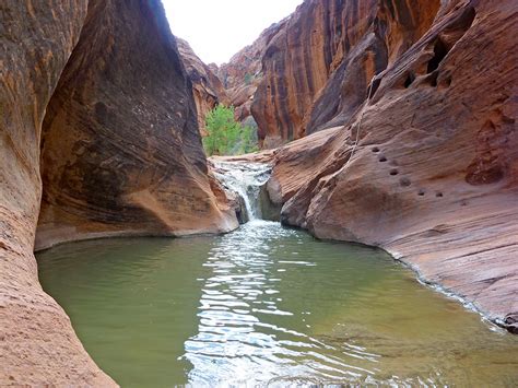 The deepest pool: Red Cliffs Recreation Area, Utah