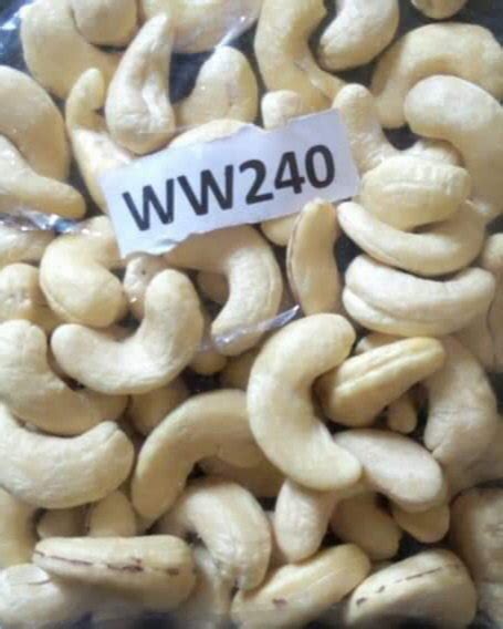 Raw Ivory Cashewnut W240 Whole Panruti Packaging Type Tin