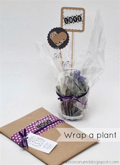 Diy Envolver Una Planta Para Regalo Diy Wrap A Plant Handbox