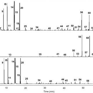 Gc Fid Traces Of The Volatile Oil Of N Nigra Inflorescences A Whole