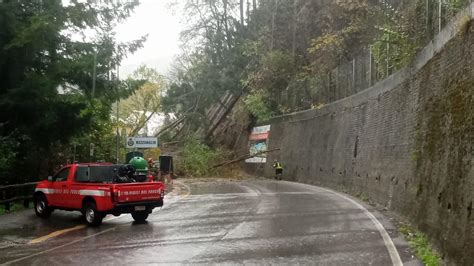 Terminata Lallerta Gialla Per Temporali Nel Levante Alberi Caduti E