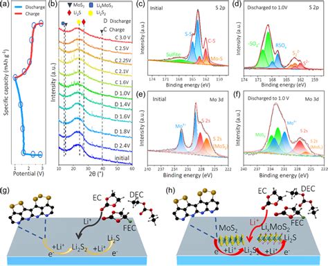 Characterization Of The Improved Reaction Kinetics Of MoS2 SPAN A