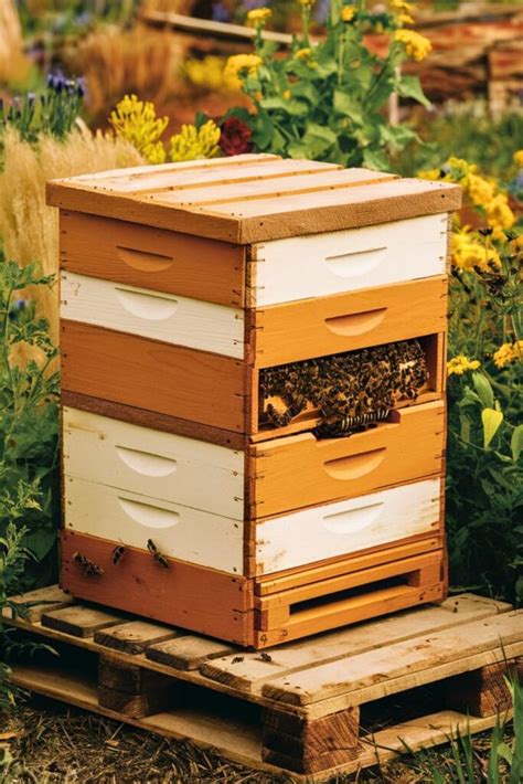 15 Diy Bee Hive For Every Space
