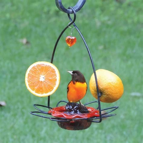 Oriole Feeders