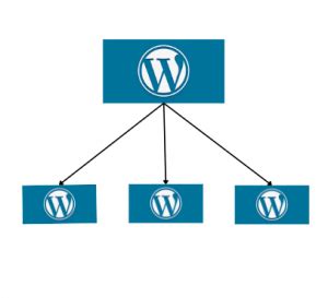 Setup WordPress MultiSite On CyberPanel Method Revealed