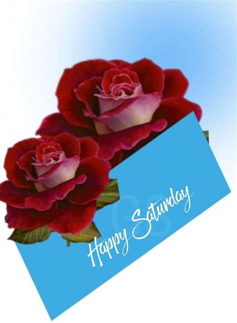 Two Red Roses Are On Top Of A Blue Card With The Words Happy Saturday