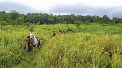 Equine Escape West Virginia By Horseback Highland Outdoors