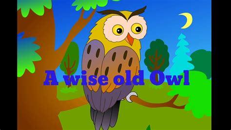 Ep 36 A Wise Old Owl Story Narrated By Akam Quinker🤗 Youtube