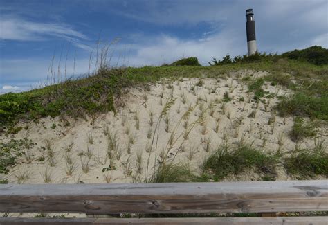 oak island tv show news - Reagan Finch