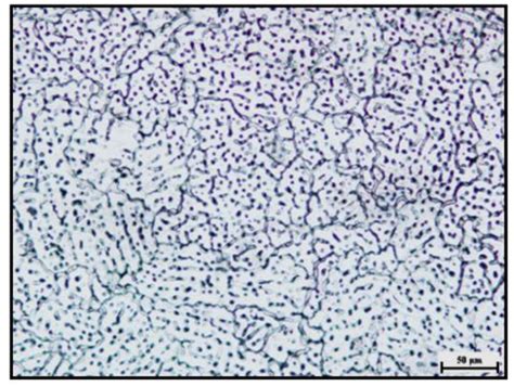 Micrograph of the molten zone. | Download Scientific Diagram