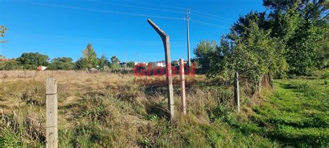 Terreno Para Construção Venda em Rio de Loba Viseu Ref 189232259