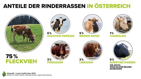 Infografiken Rind Land Schafft Leben