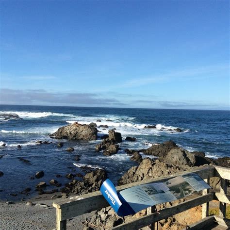 Laguna Point Viewing Platform At Mackerricher State Park Mendocino Coast Fort Bragg Beach