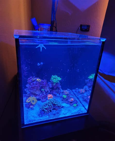 Growth identificaton : fishtank