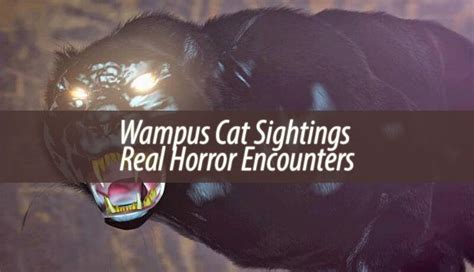 The Wampus Cat Is Probably One Of The Most Famous On This Site As Of