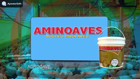 Aminoaves Agrocave N Cleo Para Aves Pronto Para Misturar Na Ra O