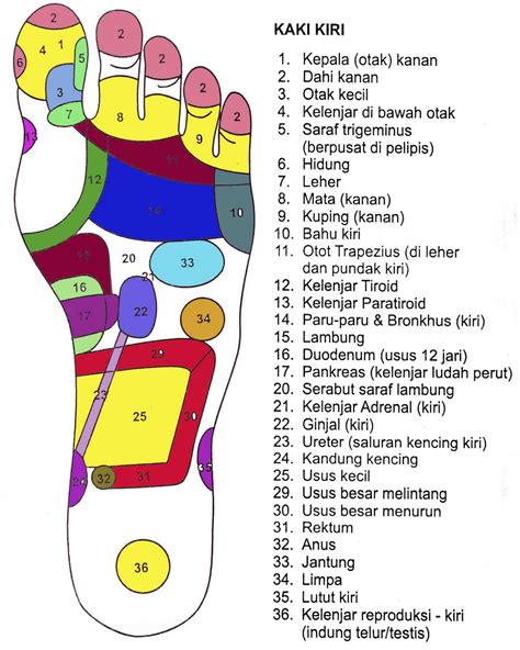 Refleksi Sakit Pinggang Homecare24