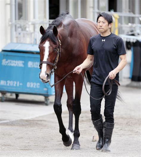 【宝塚記念】大阪杯は首差2着 ローシャムパークのg1初制覇へ田中博調教師「食い込める能力はある」 Umatoku 馬トク