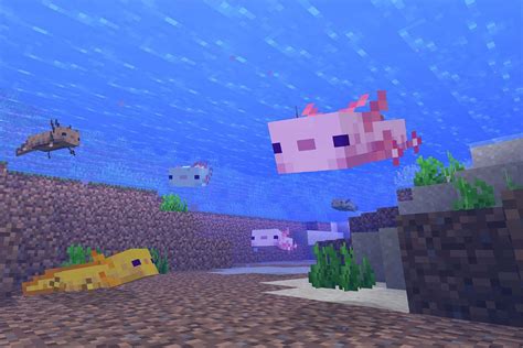 Axolotls have arrived in the Minecraft Caves and Cliffs update - Polygon