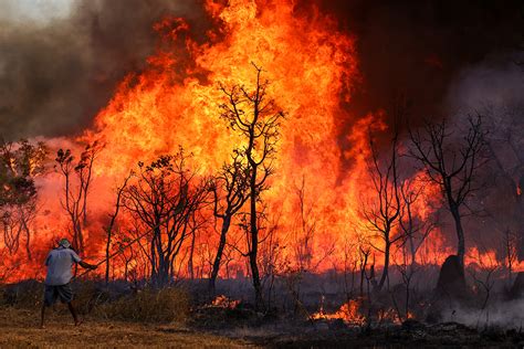 Brasil Reduz Emissões De Gases Do Efeito Estufa Em 2023 Paraibaonline