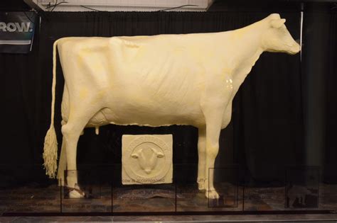 Iowa State Fair Butter Cow | Chatting with the sculptor | OurQuadCities