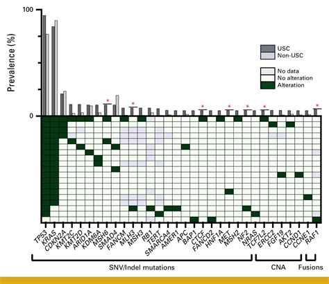 Genomic Profiling Of Rare Undifferentiated Sarcomatoid Subtypes Of Pancreatic Carcinomas In