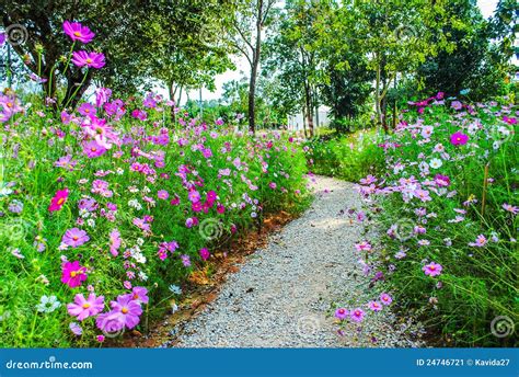 Road in the Garden stock image. Image of color, design - 24746721