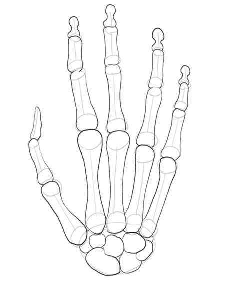 Easy Skeleton Hand Drawing In 5 Steps Video Illustrations