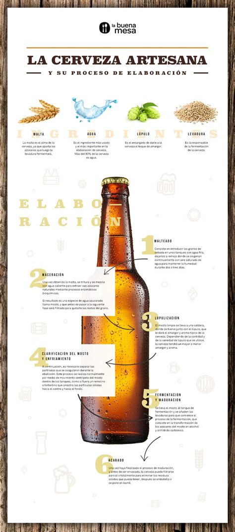 La Cerveza Artesana Y Su Proceso De Elaboraci N Beer Infographic