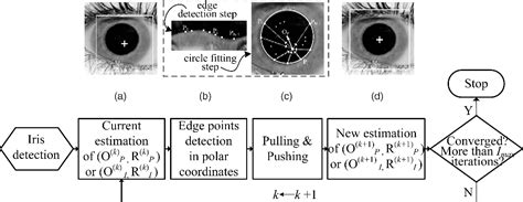 Figure 1 From Toward Accurate And Fast Iris Segmentation For Iris