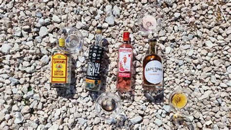 Exclusive Gin Tasting At Saldanha Bay Hotel Uncover The Finest Gins