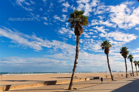 Valencia Malvarrosa Las Arenas beach palm trees in Patacona — Stock Photo © lunamarina #42221685