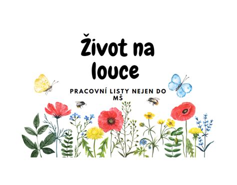 Život na louce pracovní listy nejen do MŠ Přírodověda