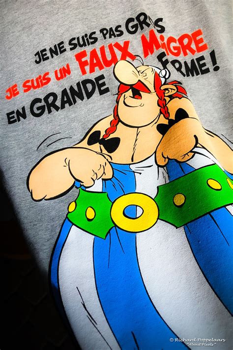 Obelix Je Nu Suis Pas Gros Parc Asterix Plailly Fr Flickr