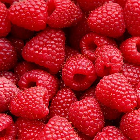 Raspberries - St. Clair Elderberries