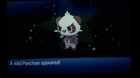 [gen7]Random Shiny Pancham. : ShinyPokemon