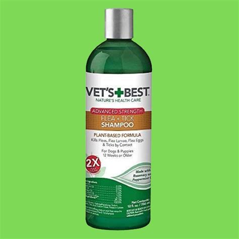 The 5 Best Flea Shampoos – Protect Your Pup From Pesky Parasites!